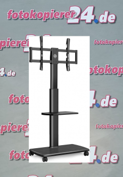 FituEyes TT20605GB TV Standfuß mit Rollen in OVP